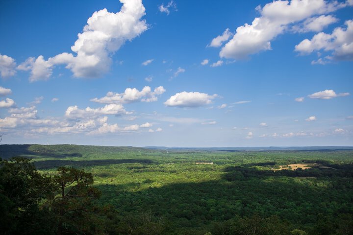 Property Grounds 61 of 77