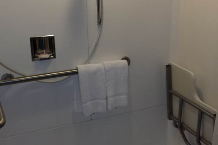 Bathroom shower