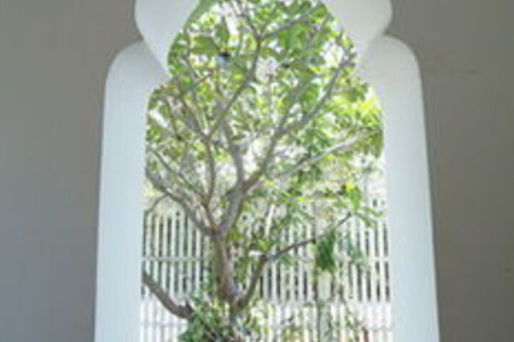 Hotel Interior 73 of 109
