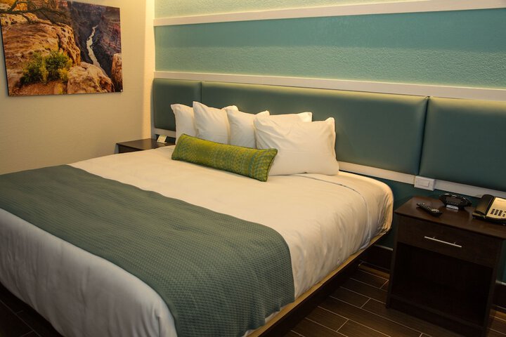 1 King Bed Accessible (8 of 14)