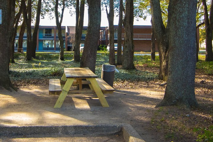 BBQ/picnic area