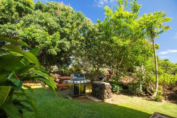 Hale Kahanalu 4 in Koloa, HI