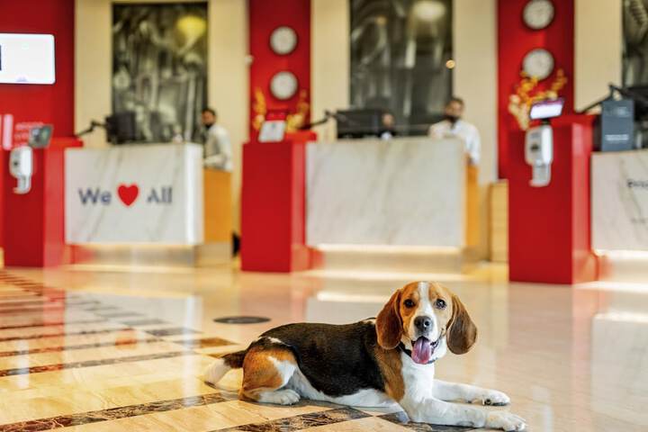 Spa and Wellness Pictures