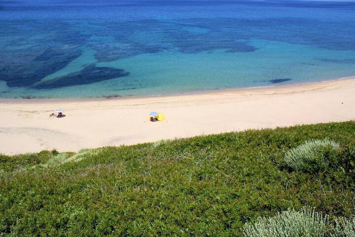 Beach 37 of 164
