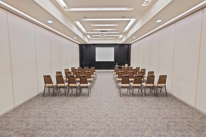 Meeting 115 of 147