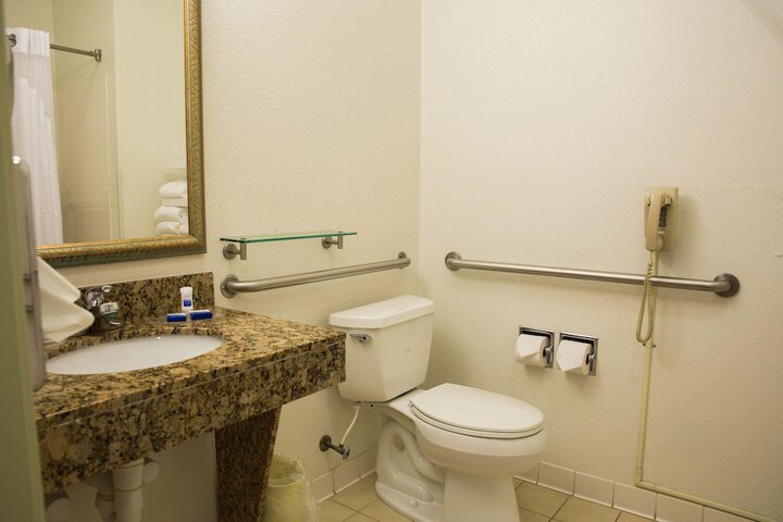 1 King Accessible Bathtb Microfridge Full Breakfast (24 of 28)