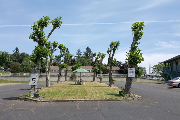 Property Grounds 33 of 34