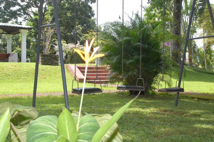 Property Grounds 11 of 20
