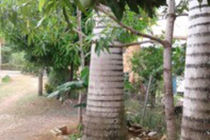 Property Grounds 19 of 28