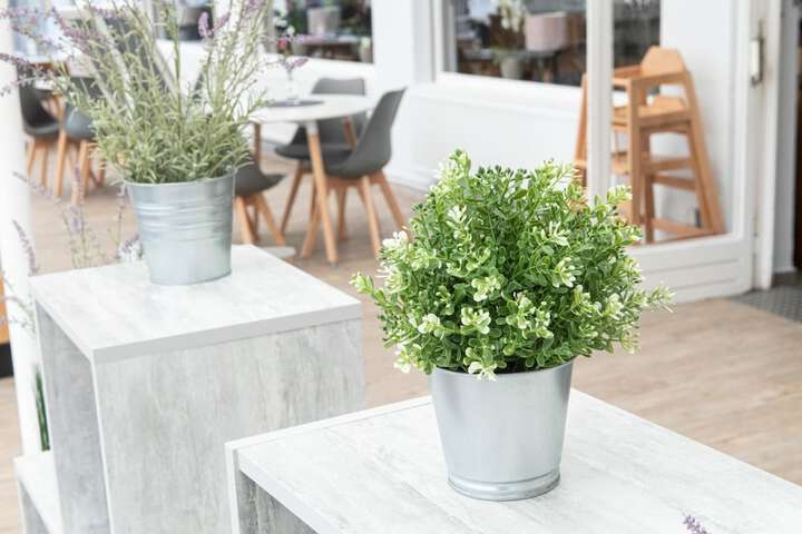 Terrace/Patio 21 of 59