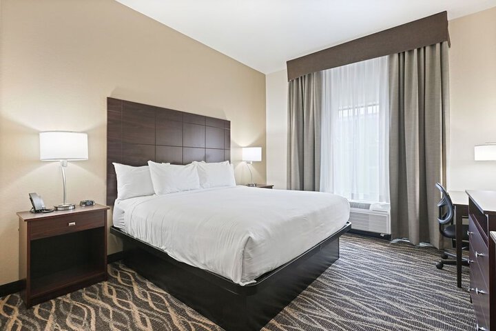 1 King Bed Accessible (11 of 32)