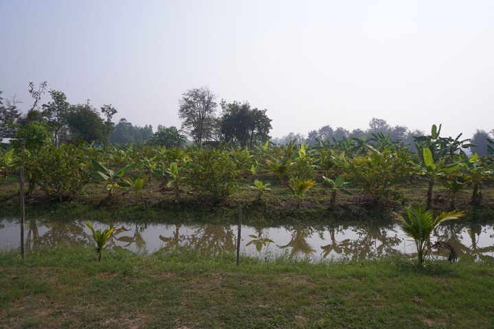 Spa and Wellness Pictures