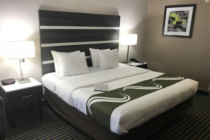 1 King Bed (3 of 14)