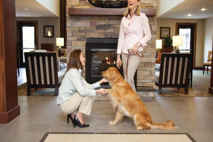 Pet-friendly