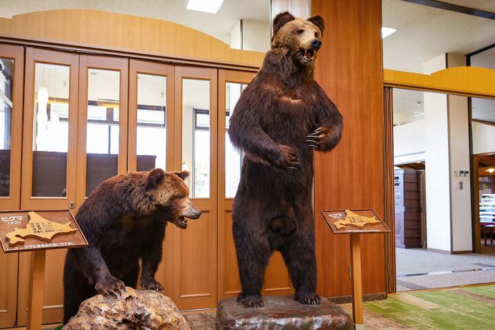 Lobby Entry