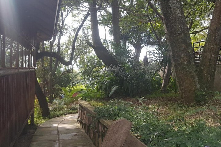 Property Grounds 52 of 64