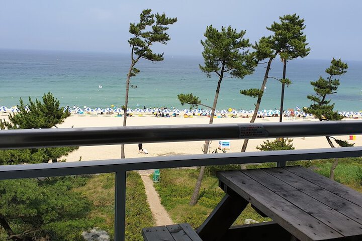 Beach 47 of 51