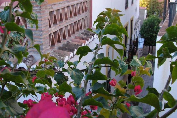 Photo 20