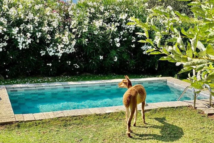 Pool 99 of 113