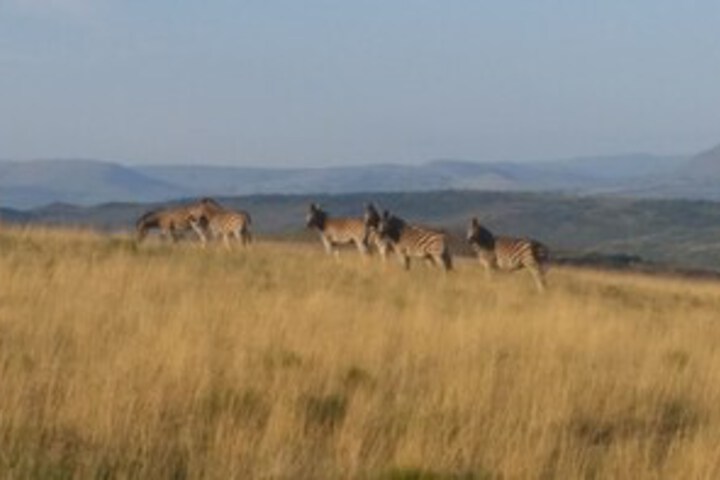 Property Grounds 9 of 14