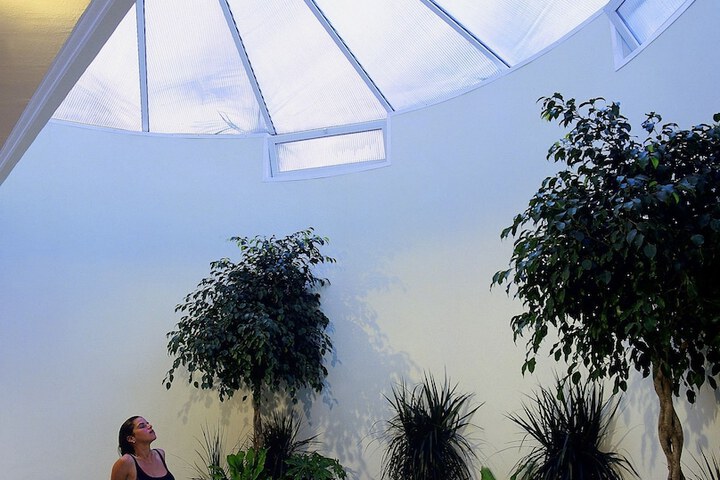 Wellness Treatments