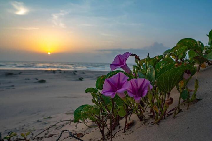 Beach 130 of 148