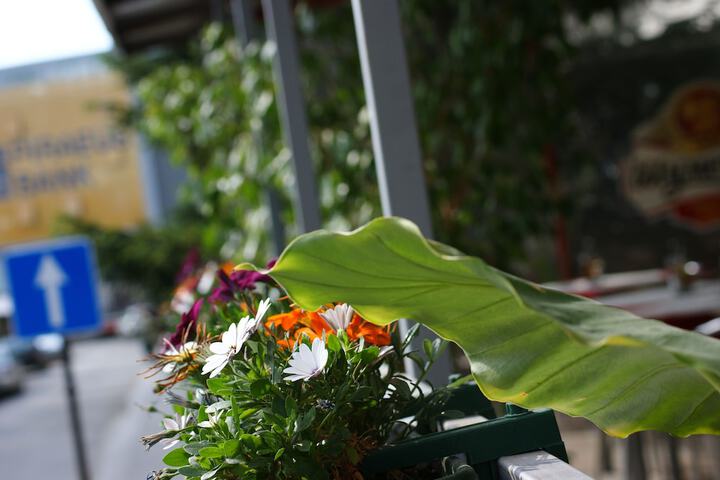 Terrace/Patio 16 of 38
