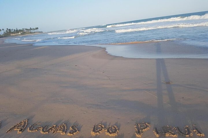 Beach 50 of 63