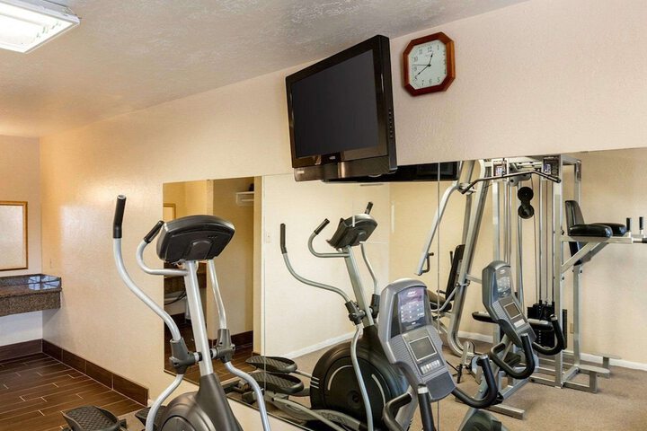 Gym & Fitness