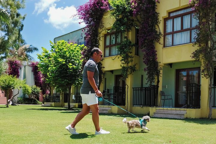 Pet Friendly 131 of 252