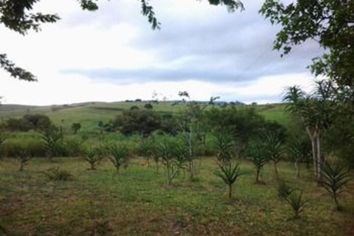 Property Grounds 15 of 16