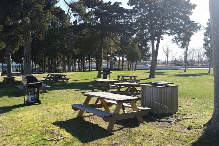 BBQ/picnic area