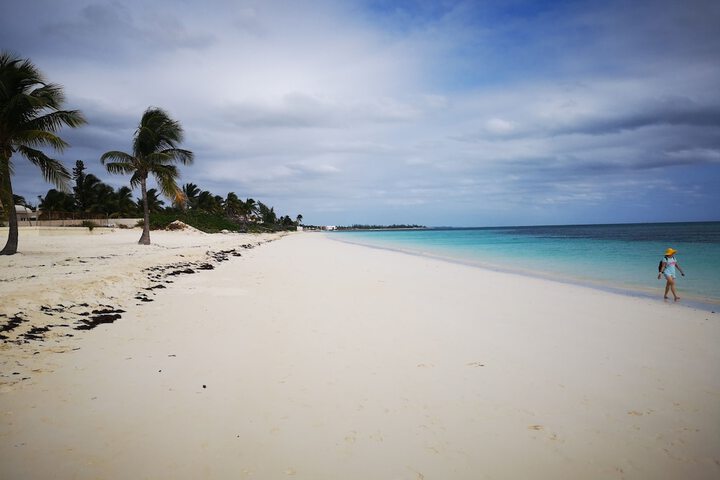 Beach 45 of 56
