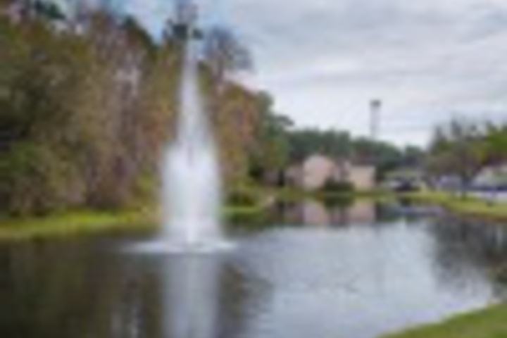 Property Grounds 4 of 24