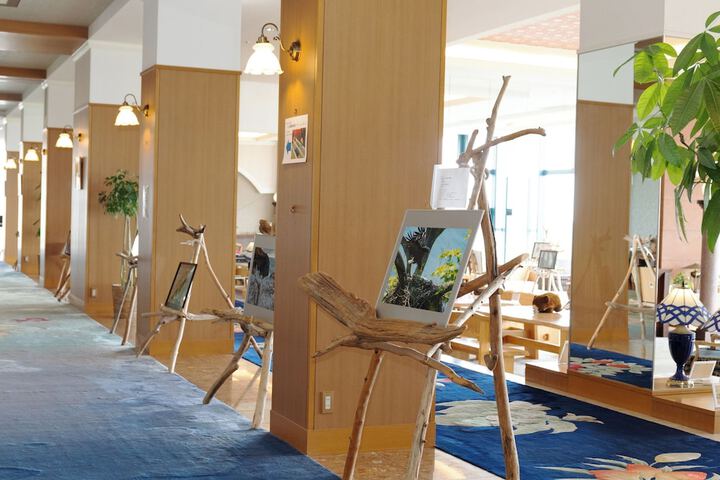 Entrance & Lobby