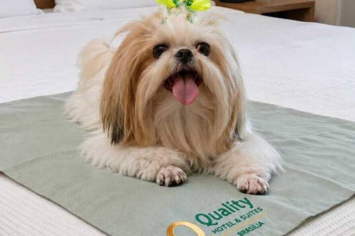 Pet Friendly 39 of 65