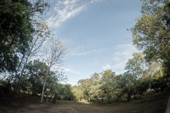 Property Grounds 31 of 51