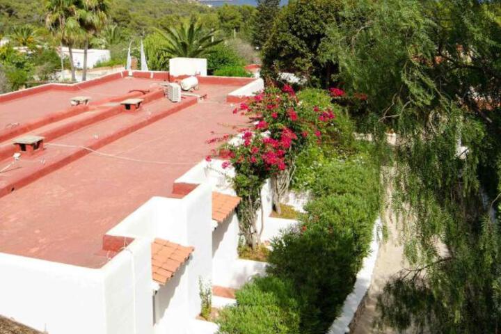 General 26 of 100