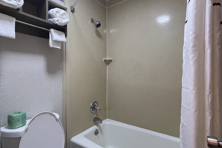 ADA Accessible Deluxe King with Roll in Shower (13 of 19)