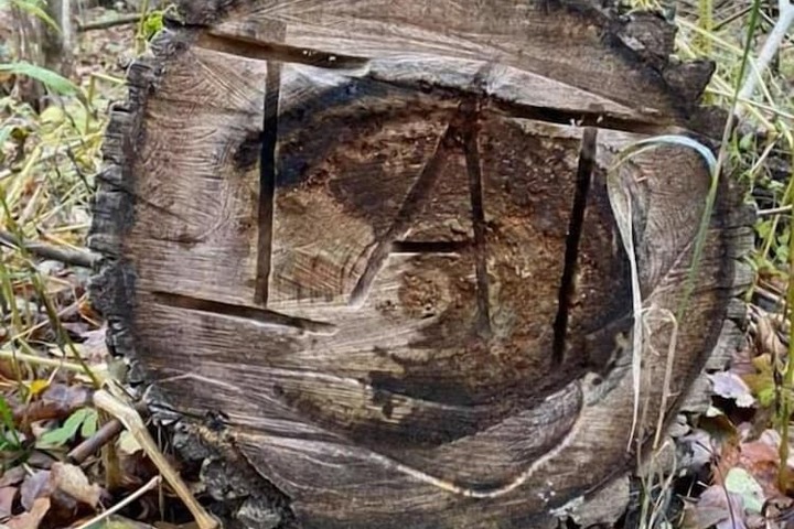 Hiking