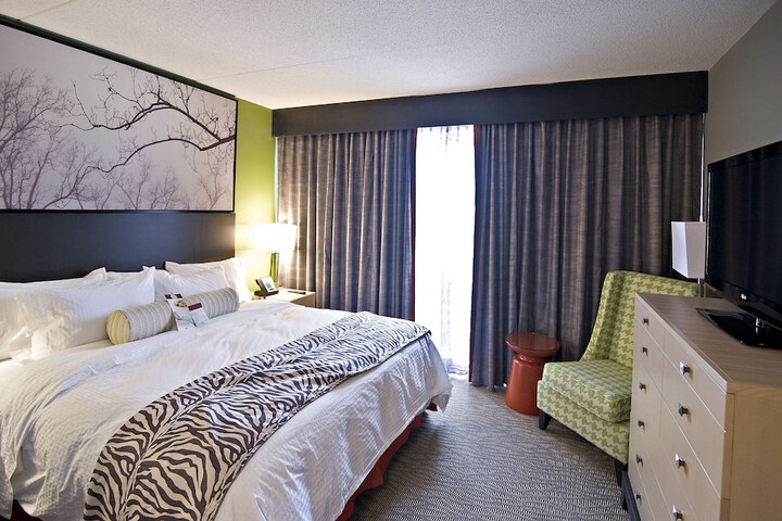 1 King 1 Bedroom Suite Mobility Accessible with Bathtub (1 of 11)