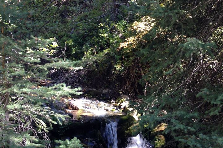 Property Grounds 19 of 26