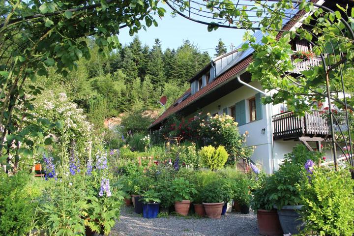 General 54 of 55