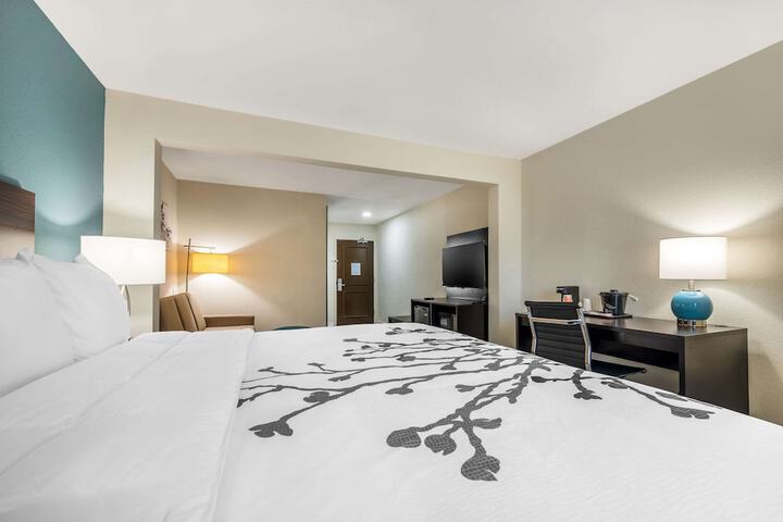 Suite King Bed Accessible (5 of 11)