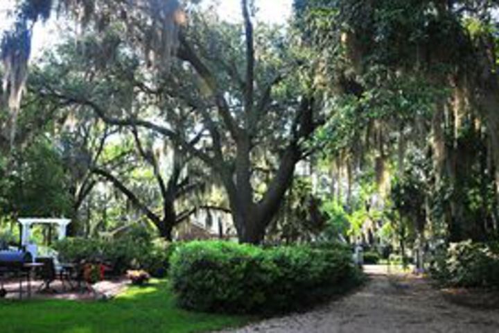 Property Grounds 6 of 8