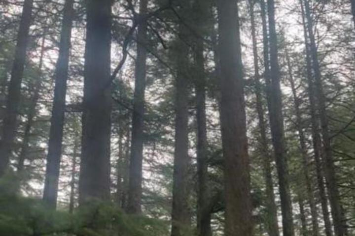 General 11 of 56