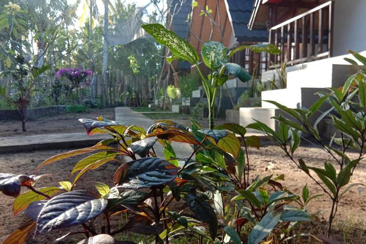 Jingga Home Penida