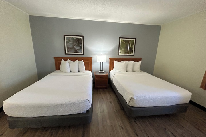 Deluxe 2 Double Beds (5 of 13)