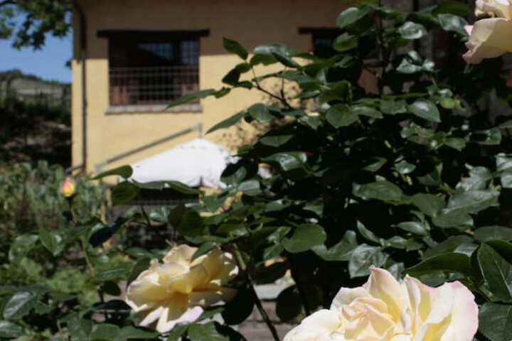 Hotel Exterior 56 of 62