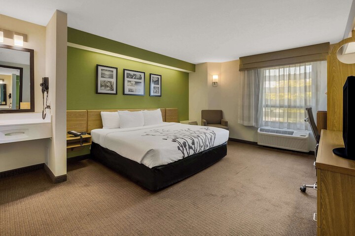 1 King Bed (6 of 11)